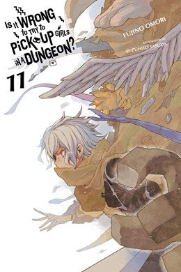 Is It Wrong To Try To Pick Up Girls In A Dungeon?, Vol. 11 (Light Novel)
