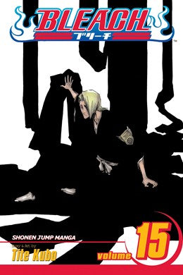 Bleach, Vol. 15: Beginning Of The Death Of Tomorrow