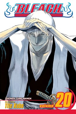 Bleach, Vol. 20: End Of Hypnosis