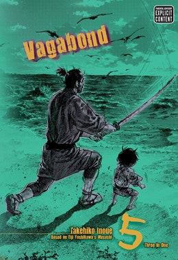 Vagabond (Vizbig Edition), Vol. 5: Glimmering Waves