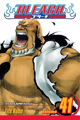 Bleach, Vol. 41: Heart