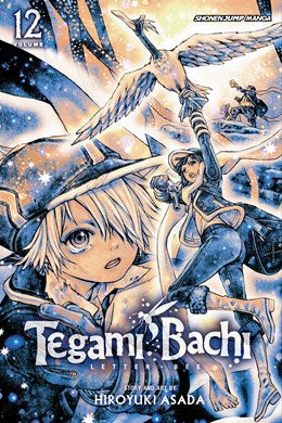 Tegami Bachi, Vol. 12: Child Of Light