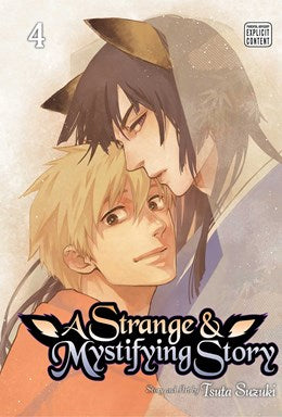 Strange & Mystifying Story, Vol. 4