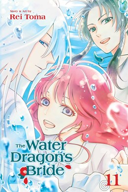 The Water Dragon'S Bride, Vol. 11