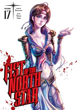 Fist Of The North Star, Vol. 17