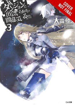 Is It Wrong To Try To Pick Up Girls In A Dungeon?, Vol. 3 (Light Novel)