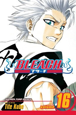 Bleach, Vol. 16: Knight Of Wijnruit