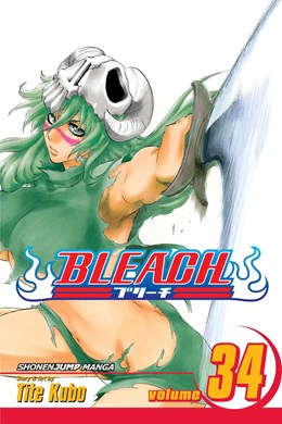 Bleach, Vol. 34: King Of The Kill