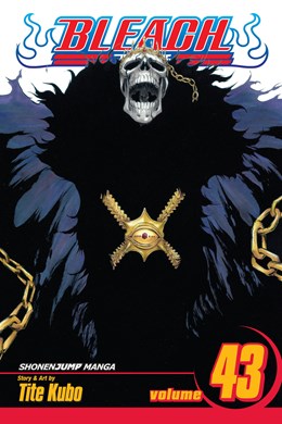 Bleach, Vol. 43: Kingdom Of Hollows