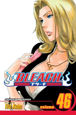 Bleach, Vol. 46: Back From Blind