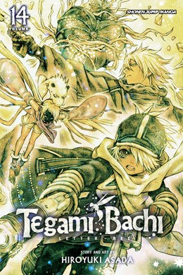Tegami Bachi, Vol. 14: A Letter From Mother