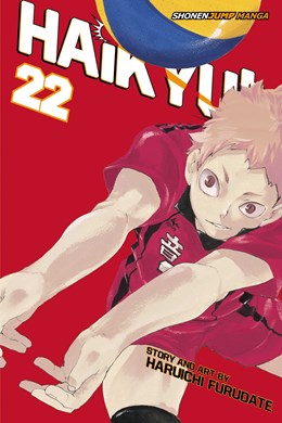 Haikyu!!, Vol. 22: Land Vs. Air