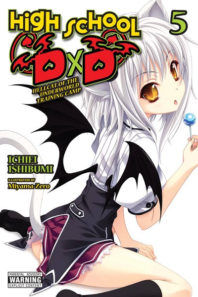 High School Dxd, Vol. 5 (Light Novel)