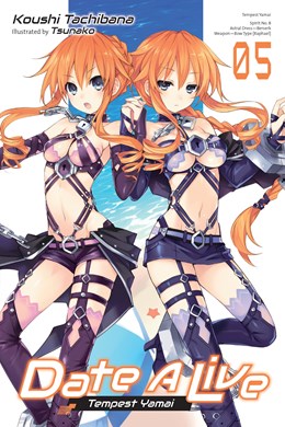 Date A Live, Vol. 5 (Light Novel)