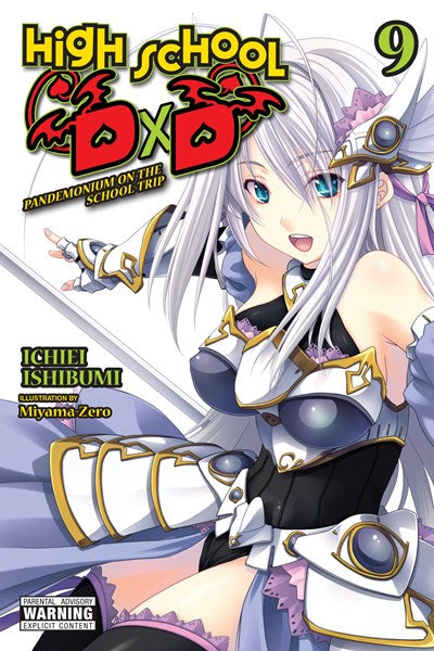 High School Dxd, Vol. 9 (Light Novel)