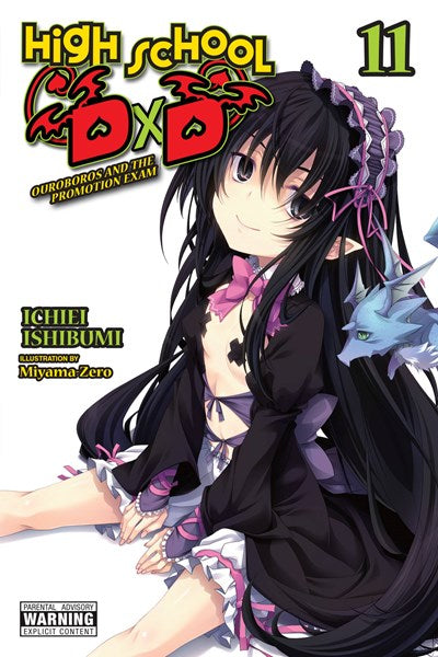High School Dxd, Vol. 11 (Light Novel)