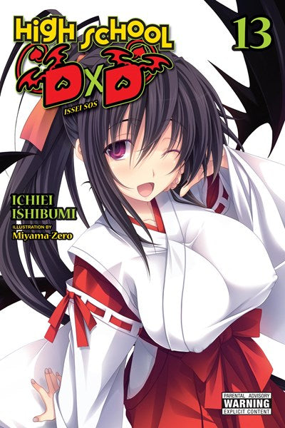 High School Dxd, Vol. 13 (Light Novel)