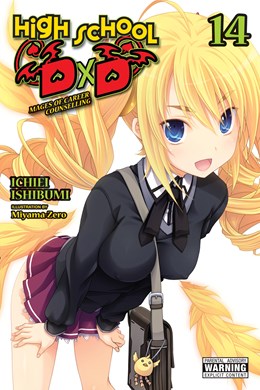 High School Dxd, Vol. 14 (Light Novel): Mages Of Career Counselling