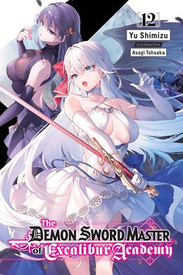 The Demon Sword Master Of Excalibur Academy, Vol. 12 (Light Novel)